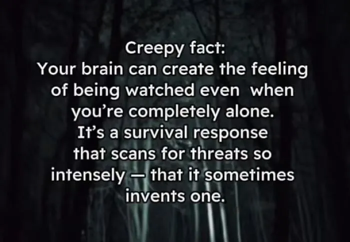 This Disturbing Account Shares Facts To Freak You Out, Here Are 54 Of The Scariest
