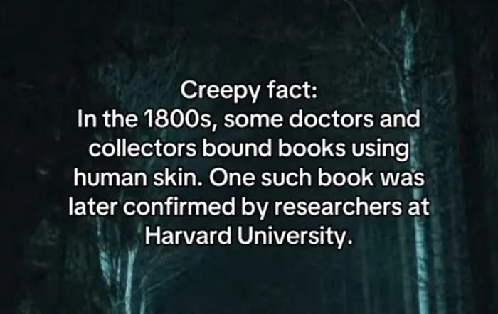 This Disturbing Account Shares Facts To Freak You Out, Here Are 54 Of The Scariest