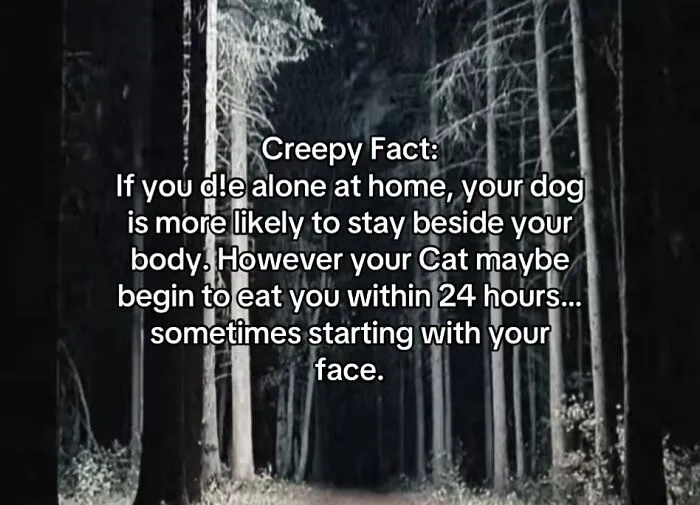 This Disturbing Account Shares Facts To Freak You Out, Here Are 54 Of The Scariest
