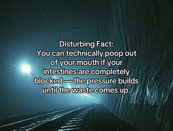 This Disturbing Account Shares Facts To Freak You Out, Here Are 54 Of The Scariest