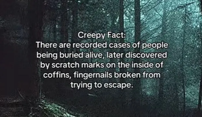This Disturbing Account Shares Facts To Freak You Out, Here Are 54 Of The Scariest