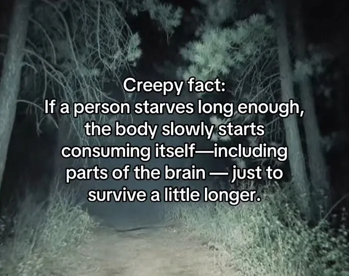 This Disturbing Account Shares Facts To Freak You Out, Here Are 54 Of The Scariest