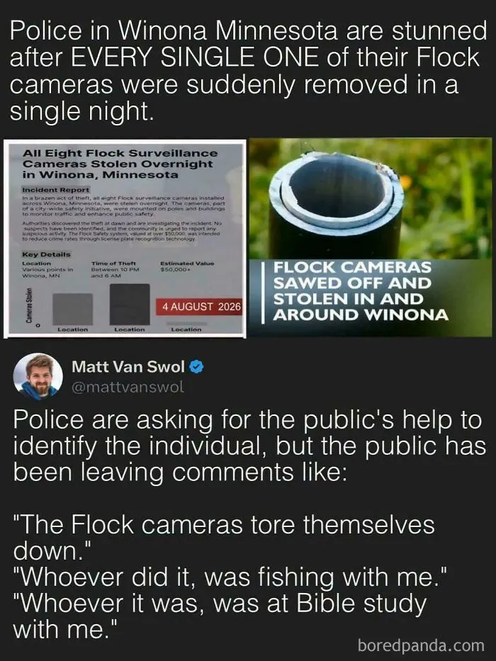 Flock Around And Find Out