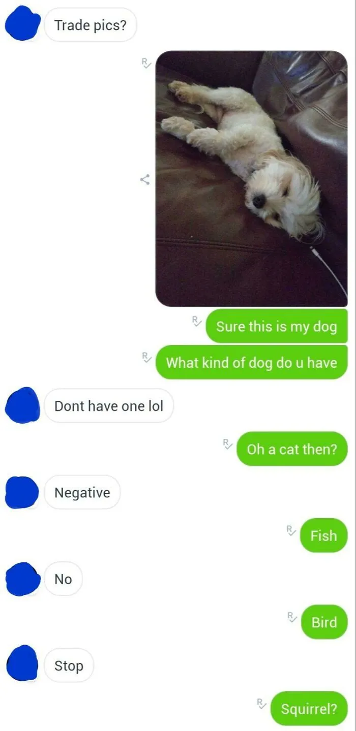 Who Doesnt Have A Dog?