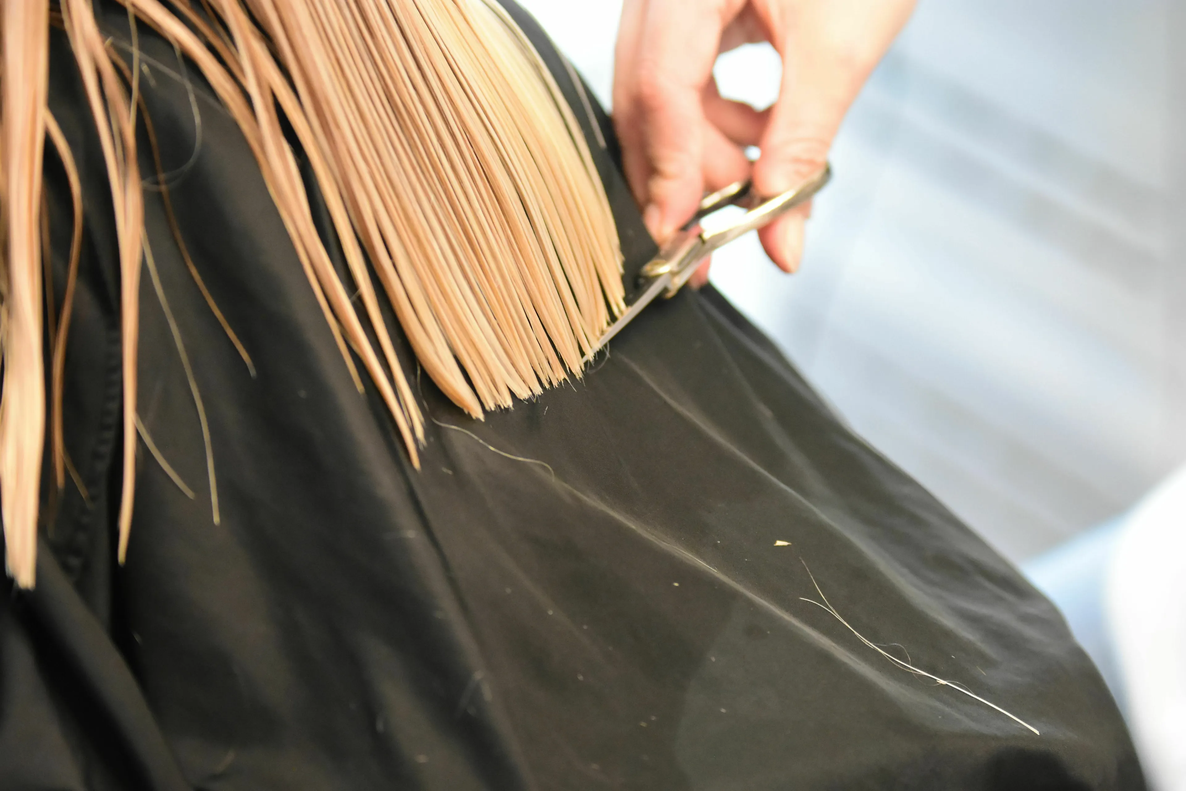 A person getting a haircut, with scissors trimming the ends of blonde hair, to determine what kind of liar you are.