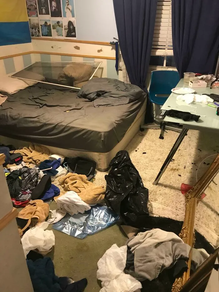 My Mother Finally Kicked My Brother Out Tonight—this Is The God Forsaken Mess He Left In Our Otherwise Clean House. Those Black Flecks On The Rug Are Exactly What You Think They Are, And I’m Disgusted
