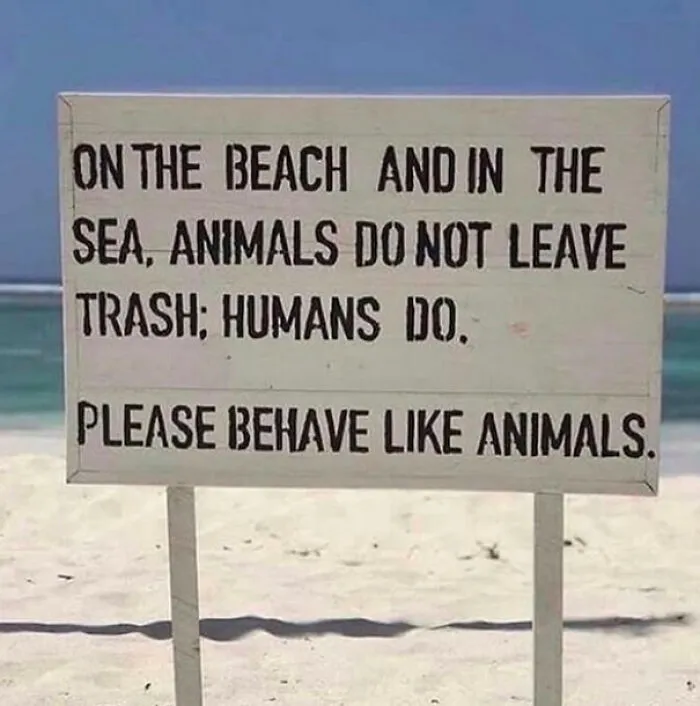 Please