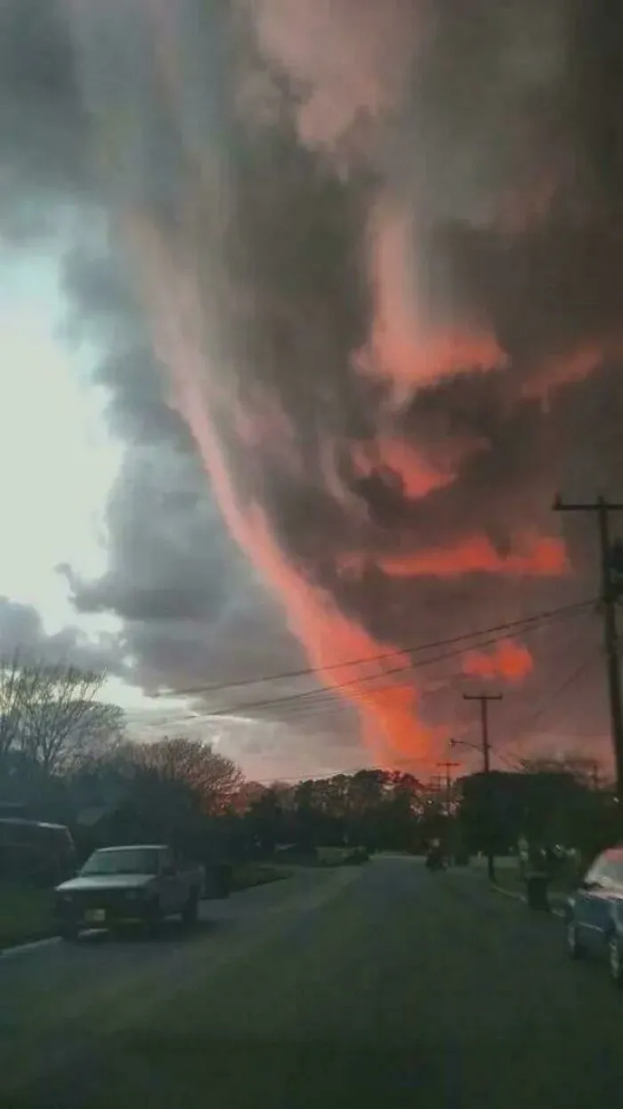 Cursed_observer
