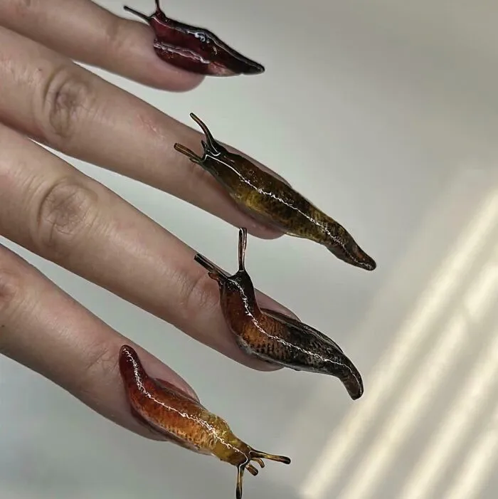 Uñas babosa