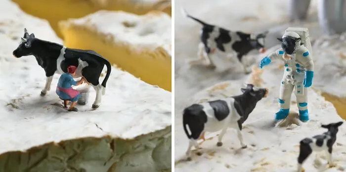 30 New ‘Minimiam’ Scenes That Make Ordinary Food Look Like Another Planet
