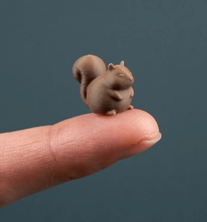 Fat Squirrel