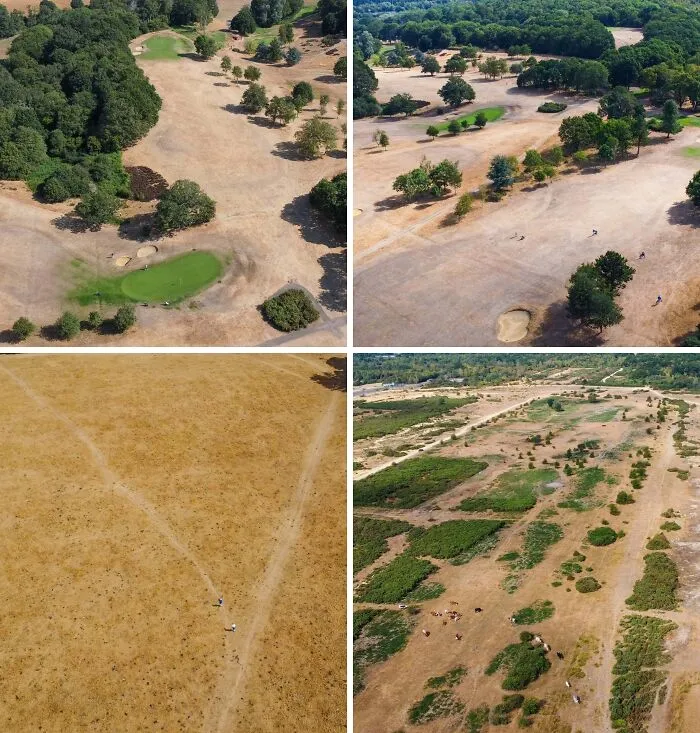 Pictures From The Air Show Extent Of Drought Across West Berkshire