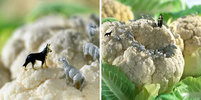 30 New ‘Minimiam’ Scenes That Make Ordinary Food Look Like Another Planet