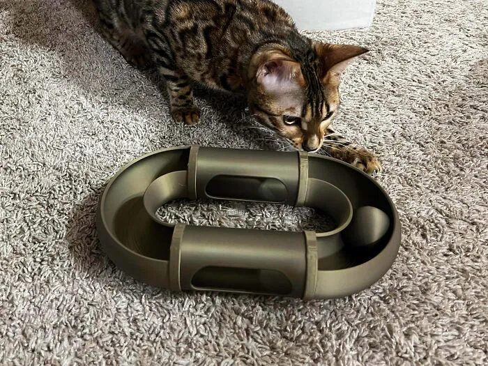My First Cat Toy
