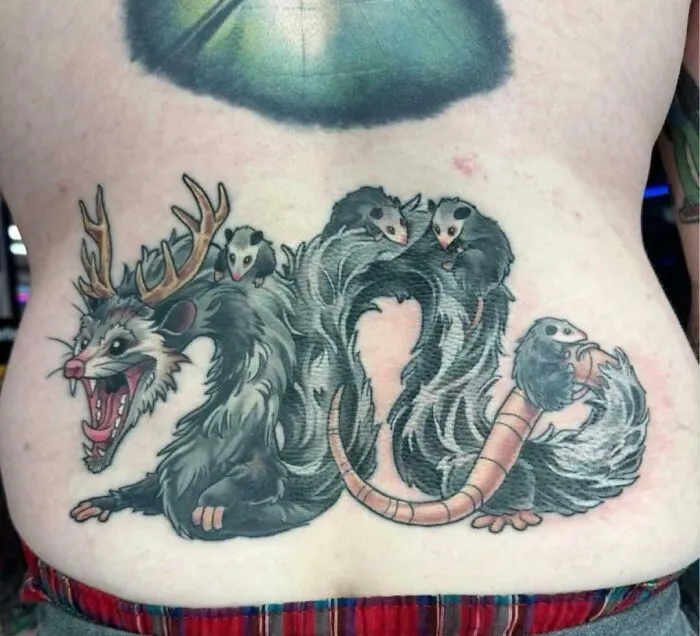 Their Description: Rad Opossum Dragon Champ Stamp