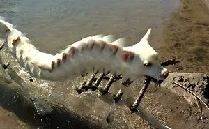 92 Spectacular Panoramic Photo Fails That Are Actually Better Than What Was Originally Intended