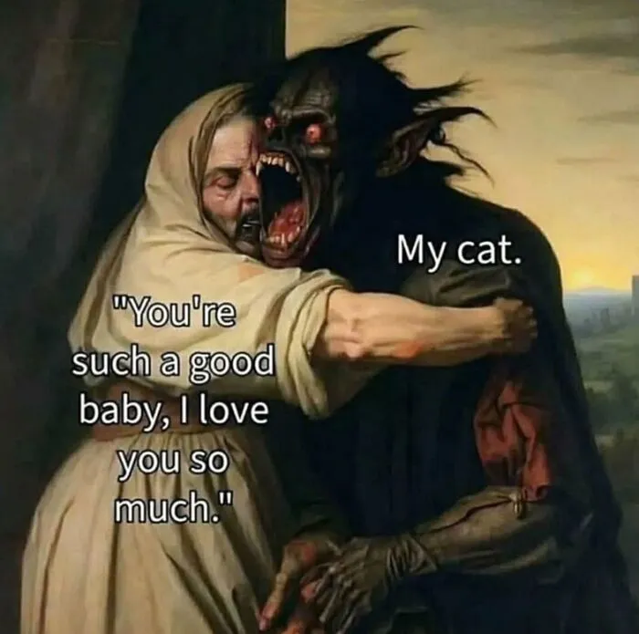 These 50 Memes Shared By This Page Capture The Wonderful Chaos Of Living With A Cat