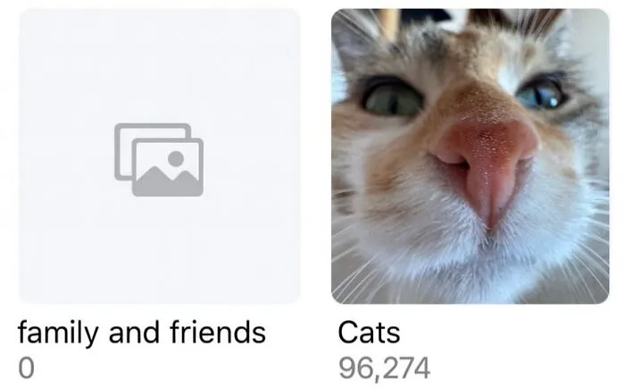 These 50 Memes Shared By This Page Capture The Wonderful Chaos Of Living With A Cat
