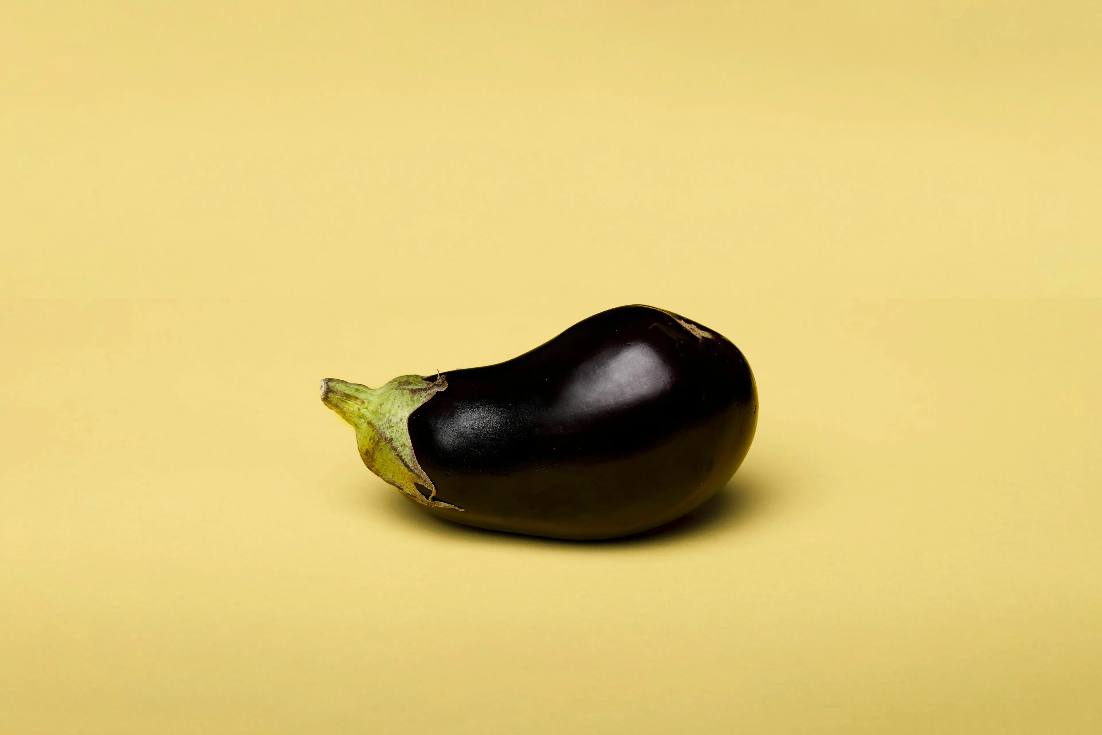 A single eggplant on a light yellow background, exploring whether 'eggplant' is a British or American English word.