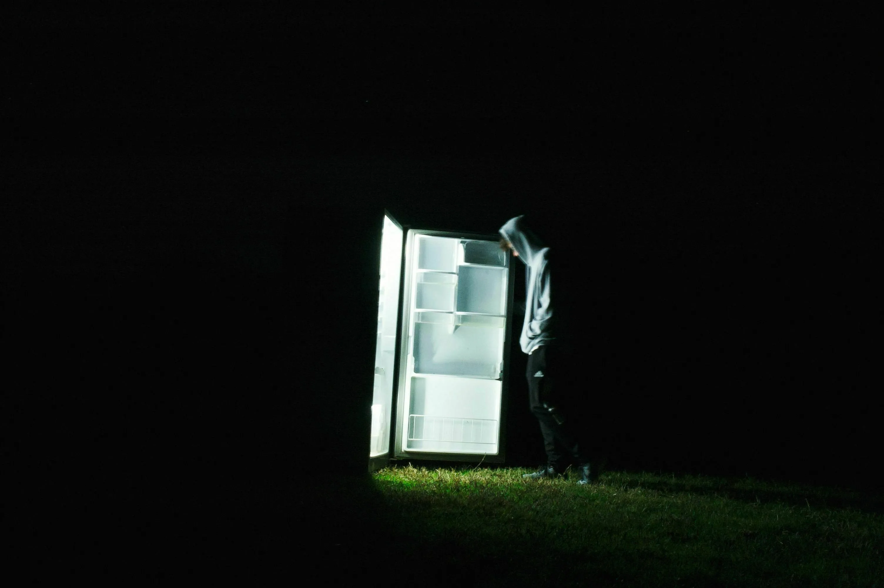 Person looking into an empty fridge, highlighting how to handle a food shortage in a dystopia.