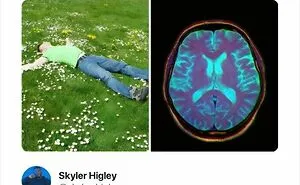 “A Literal Brain Fart”: 55 Chaotic And Funny Memes That Have No Business Being This Relatable