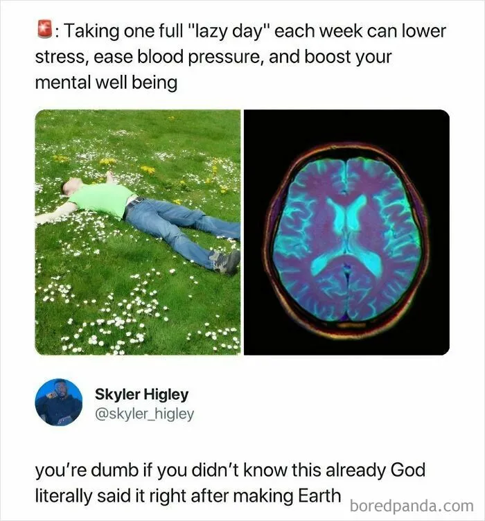 Funny-Hood-Memes