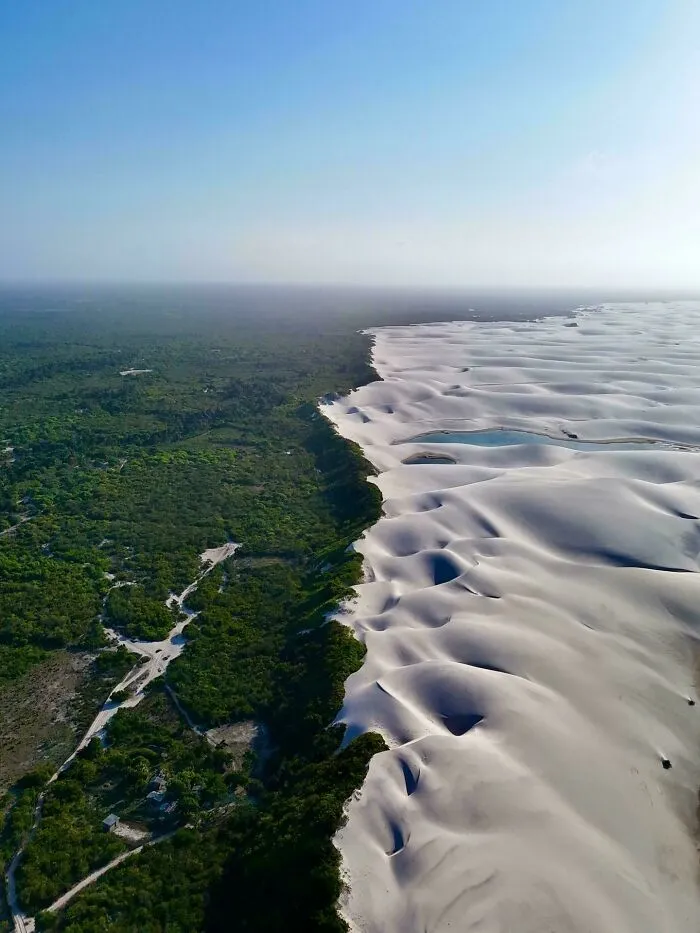The Sharp Dividing Line Between A Lush Forest And The White Sand Dunes Of Lençóis Maranhenses, Brazil