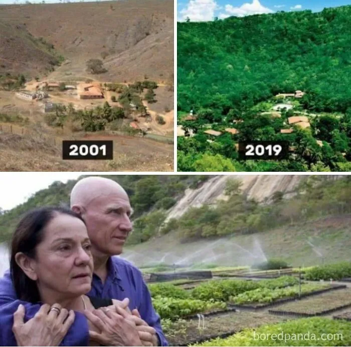 This Couple Planted Over 2million Trees To Regrow A Forest In 20years