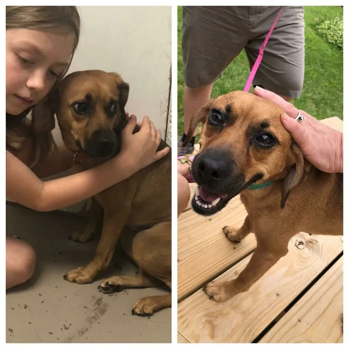 When We Met Her In The Shelter My Daughter Immediately Started Whispering In Her Ear “Your Okay, We’ll Take You Home And Keep You Safe, We Love You Already”