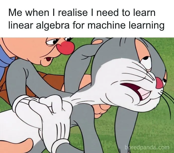 "Numbers Don't Lie, But They Do This": 71 Statistician Memes Worth A Laugh