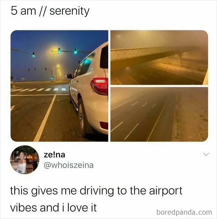 Travel Memes That Capture The Chaos Of Going On Vacation