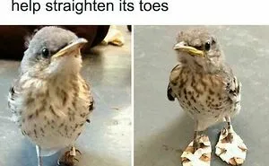 75 Unexpectedly Funny Posts To Make An Ordinary Day A Bit More Entertaining