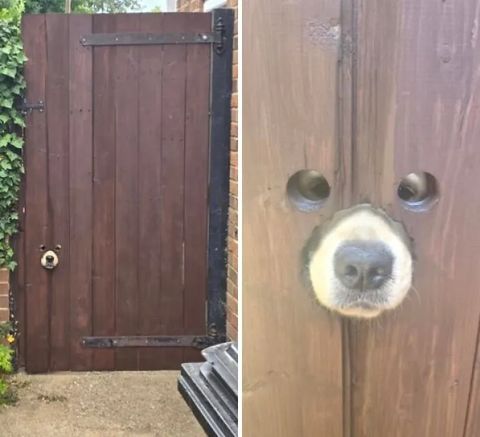 I Built A New Garden Gate Out Of Old Floor Boards And Added An Additional Security Feature
