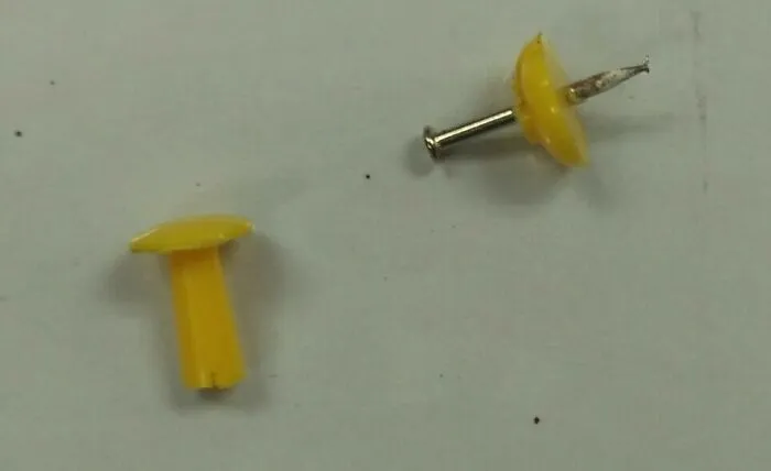 A broken pushpin with the plastic cap detached from the metal pin, a fascinating find that the internet can show us.