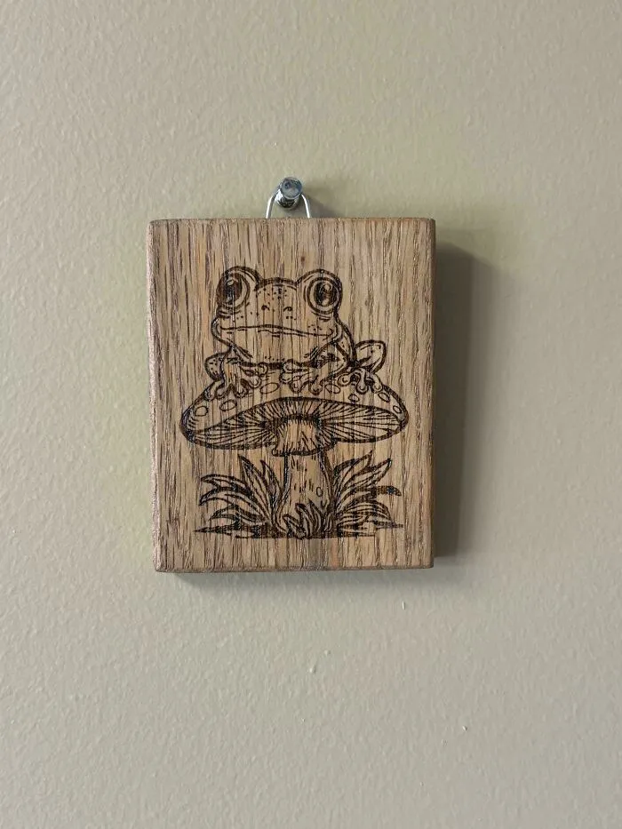 Frog On A Mushroom