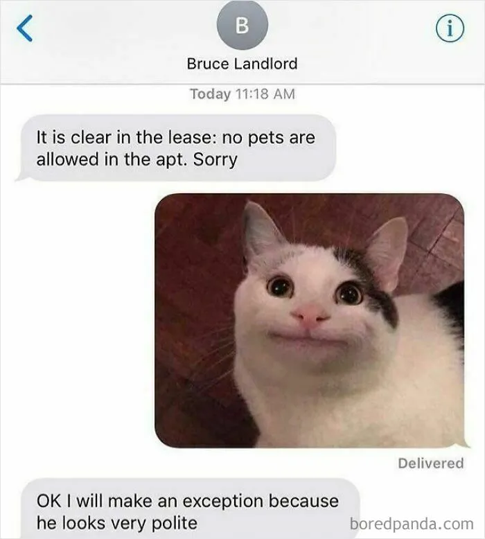 Bruce Is The Man