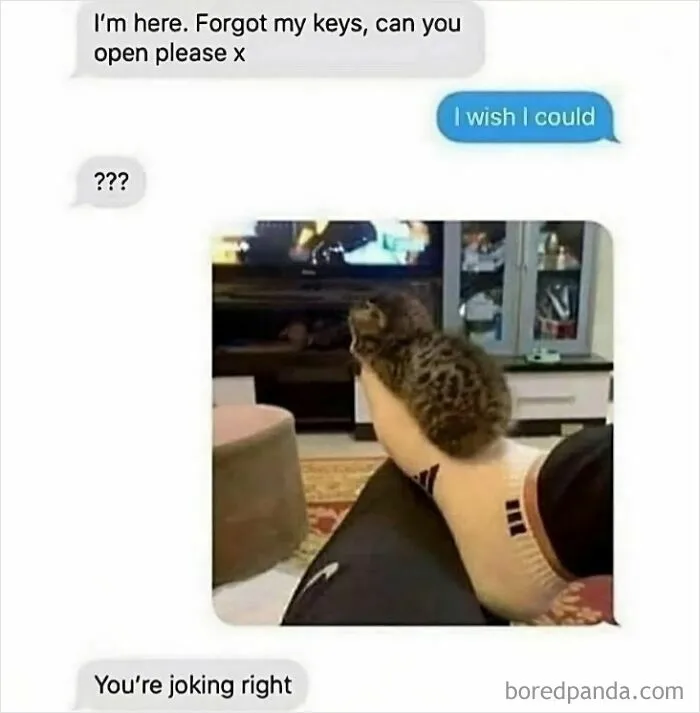 Sorry Can't Moved