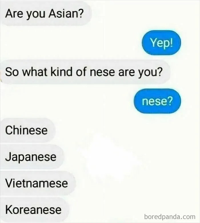 A fictional but hilarious text exchange about types of Asian descent, showing someone asking What kind of nese are you?