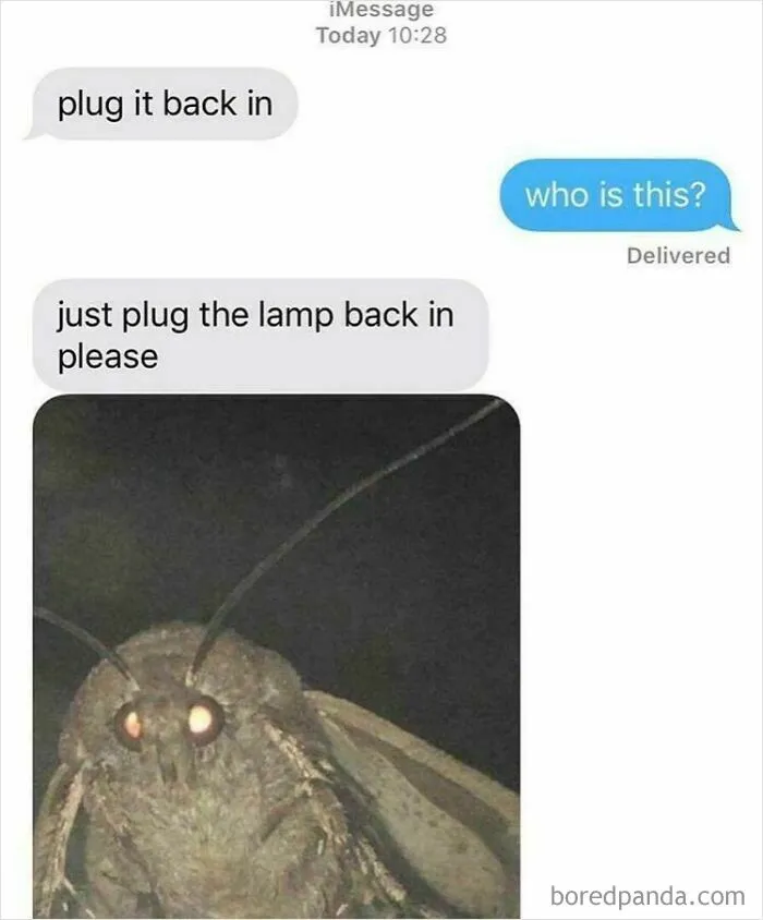 Plz Plug It Back In