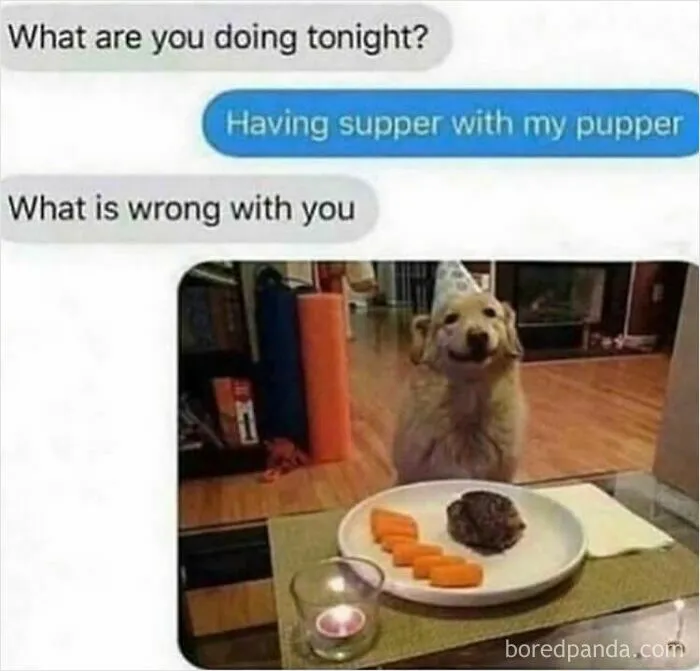 Dinner Time With Good Boy