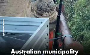 51 Internet Moments So Bizarre, Screenshots Were Basically Mandatory (New Pics)
