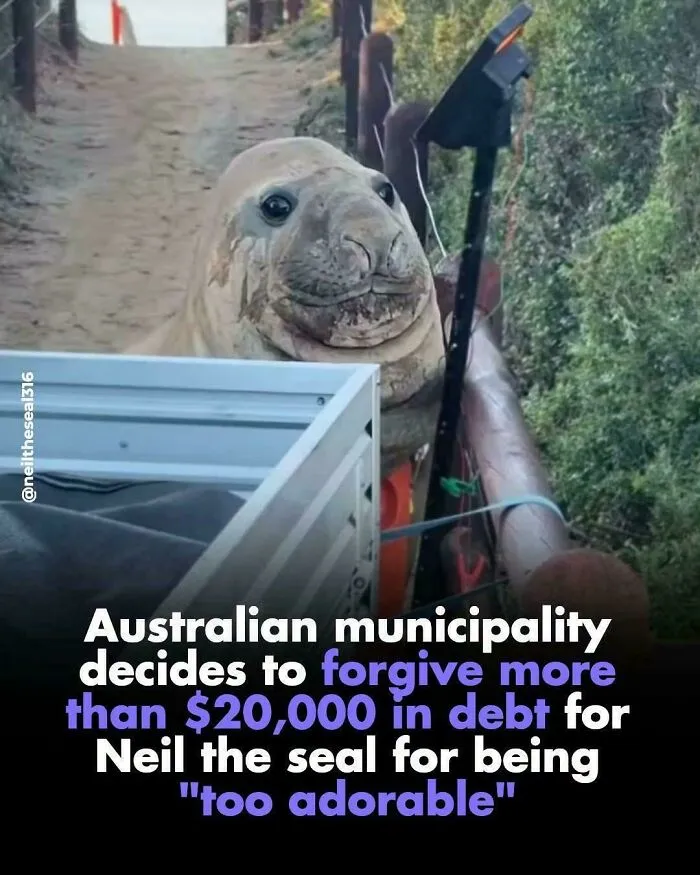 Gets My Seal Of Approval