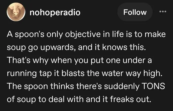 Spoon