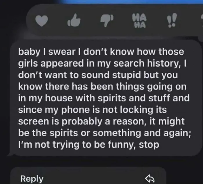 A screenshot of a text message with an unhinged explanation about search history for a mood-changing meme.