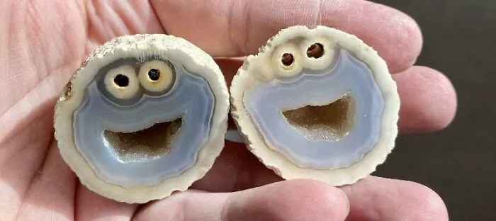 Geologist Cut Rock In Half, Found The Cookie Monster