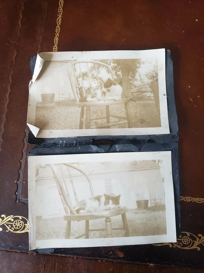 Found In The Garage Of An Abandoned Farmhouse