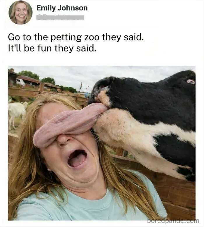 97 Hilarious, Wholesome And Adorable Animal Moments Perfectly Turned Into Memes