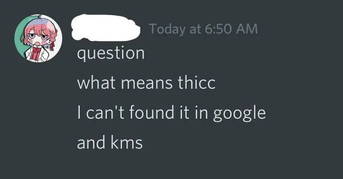 Wholesome images showing a funny chat message asking the meaning of 'thicc'.