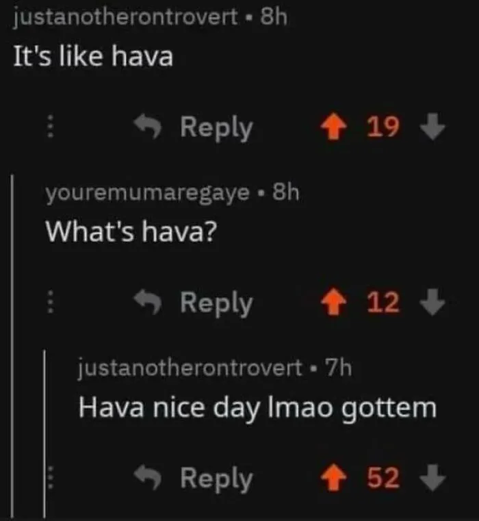 A wholesome image of a humorous Reddit conversation where a user makes a pun about hava.