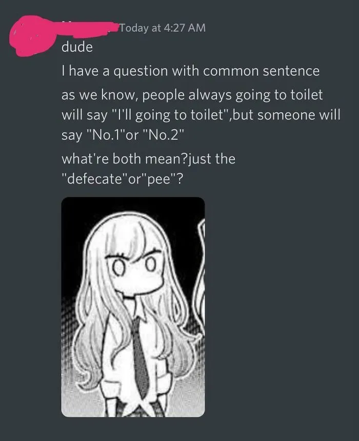 A wholesome image of a person asking a question about common bathroom phrases in a chat, with an anime character.